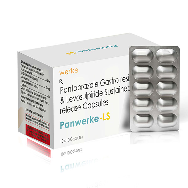 PANWERKE LS