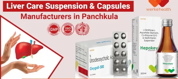 Liver Care Suspension & Capsules Manufacturers In Panchkula