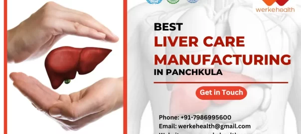 Liver Care Capsules Manufacturer in Panchkula