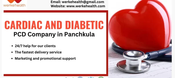 Cardiac Diabetic PCD Pharma Franchise in Panchkula