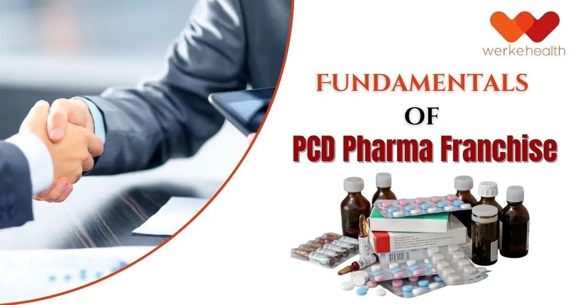 Fundamentals of PCD Pharma Franchise Business and It’s Working Process | Werke Health